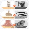 BEAUTYZOO Cat Harness and Leash Set for Walking Escape Proof,