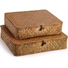 Elsjoy 2 Pack Seagrass Baskets with Lid, Wicker Storage Baskets