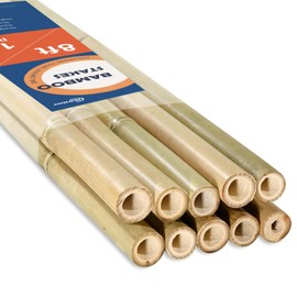 COLOtime 8FT Bamboo Stakes Plant Stakes 1 Inch Thick Diameter Garden Stakes Heavy Duty for Plant Support Outdoor Climbing Plants Support Gardening Stakes 10 Pack
