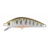 Forest iFish FT 5S #02
