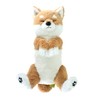 Sun Lemon BE P-8362 Shiba Inu Shiba Inu