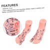 SAFIGLE Foot Massage Model for Acupoint Teaching Realistic Display Lifelike
