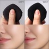 THE BOON Hydro Ruster Puff 3pcs/9pcs, Option:Puff 3pcs