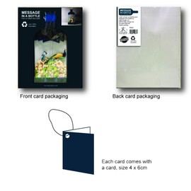 Message in a Big Bottle Greeting Card - Jellyfish Reef