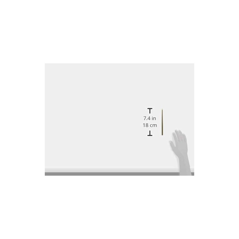 Great Inkless Ballpoint Pen from Napkin Forever