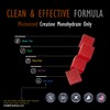 DLNIA 120 Creatine Monohydrate Gummies for Men & Women, Vegan-Friendly,
