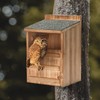 Owl House Premium Wooden Bird House Kit - Cedar Owl