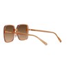 Coach HC8368D Sunglasses, Transparent Brown/Brown Gradient, 61 mm