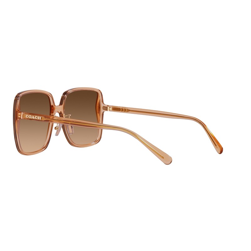 Coach HC8368D Sunglasses, Transparent Brown/Brown Gradient, 61 mm