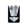 Hisdern TP-01S Men’s Paisley Pattern Necktie and Square Set, Business,