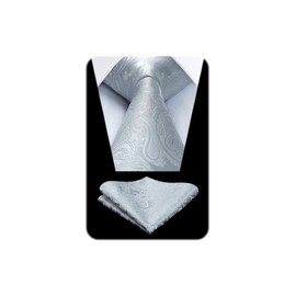 Hisdern TP-01S Men’s Paisley Pattern Necktie and Square Set, Business, Wedding, After-Party, Gift, 32 Patterns