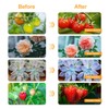 bseah Grow Light Plant Lights for Indoor Plants, Full Spectrum