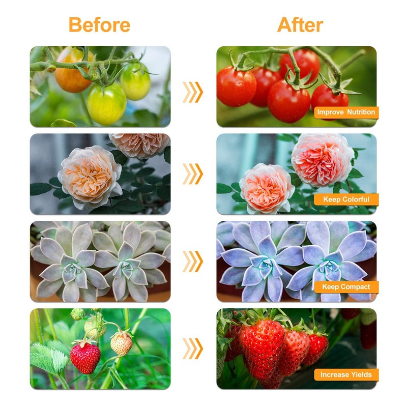bseah Grow Light Plant Lights for Indoor Plants, Full Spectrum
