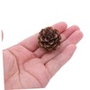FUNOMOCYA 100pcs Mini Natural Pine Cone for Christmas Tree 1.18