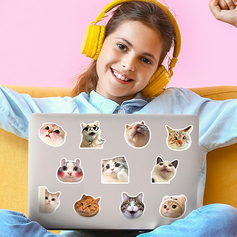 100 Pieces Funny Funny Cat Stickers Set, Cute Cat Stickers,