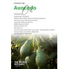 Oleora Avakado Yağı, Sabit Yağ, (Avocado Oil) Carrier Oil, Pure