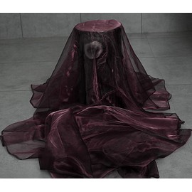 VDS Plum Organza Fabric, 10 Yards Continuous, 45” Wide, Wedding Party Decoration Iridescent Crystal Sheer Shiny Organza Tulle Bridal Dress DIY Crafts Costume Sewing Backdrop Arch Cloth