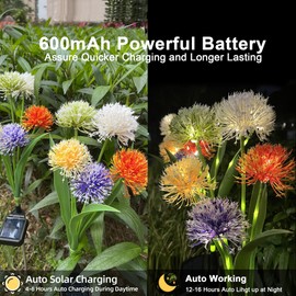 IXI Solar Outdoor Decorative Lights Garden Courtyard Landscape Lights LED Solar Chrysanthemum Lights Suitable for Yard, Lawn, Paths, Holiday Parties, and Weddings (2 Pack)