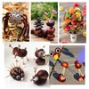 Chestnut Drill Set, Chestnut Craft Set Children, Autumn Chestnut Man