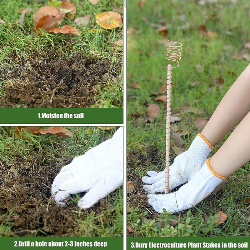 6PCS Electroculture Plant Stakes 10 Inch Natural Wood Stake Wrapped