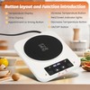 Sourdough Starter Warmer with Glass Dome, Precise 1°F Thermostat Control