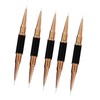 5Pcs Nail Art Brush Double Ended Nail Design Painting Brush
