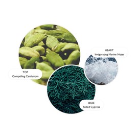 Molton Brown Coastal Cypress and Sea Fennel Hand Lotion 300 ml