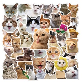 MORAINJAY 100pcs Cute Funny Cat Stickers for Kids,Cartoon Theme Water Bottle Stickers for Teens Boys Girls,Aesthetic Cat Anime Vinyl Stickers Party Favors for Kids Party Bags Filler,Laptop,Skateboard