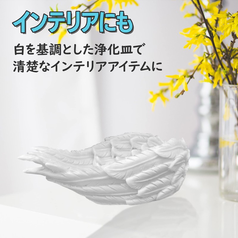 Felimoa Angel Wings Purifying Dish, Power Stone Trinket Box Accessory