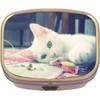 White Cat Brass Rectangle Pill Box