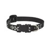 LupinePet Originals 1/2" Bling Bonz 8-12" Adjustable Collar for Small