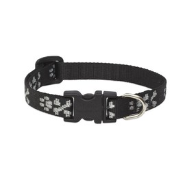 LupinePet Originals 1/2" Bling Bonz 8-12" Adjustable Collar for Small Dogs