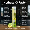 Electrolytes Hydration Tablets | 40 Effervescent Rehydration Tablets (Lemon) |