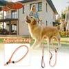Slip Lead for Dogs,Anti Pull Dog Lead with Comfy Handle
