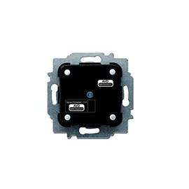 Busch-Jaeger Sensor/Actuator 6211/1.1 EAN: 4011395179987, 1 pcs