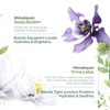 Chando 【25.9 Payday Sale 】CHANDO Himalaya Mask Plant Moisturizing Mask