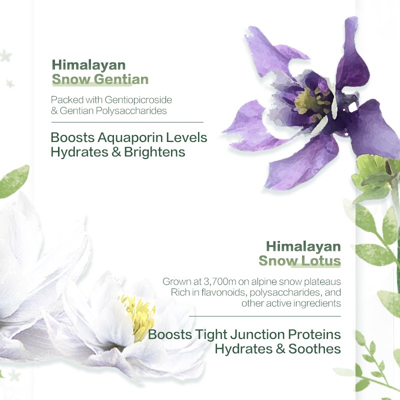 Chando 【25.9 Payday Sale 】CHANDO Himalaya Mask Plant Moisturizing Mask
