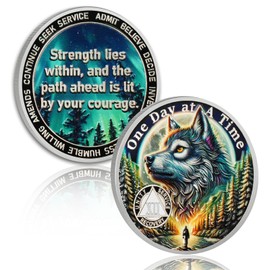 YRCKUDZKG Brave Wolf 12 Year Sobriety Coin - One Day at a Time AA Coin, Alcohol Free Recovery Chip with Token Capsule, Inspirational Sobriety Gifts for Men & Women