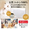 Think Family Mask Interior Cleaning Sheet, Large Capacity, 100 Pieces,