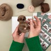 Bergin & Bath Needle Felting Kit, Baby Sloth. Make a
