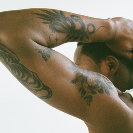 Inkbox Temporary Tattoos, Extra-Large Semi-Permanent Tattoo, One Premium Easy, Long Lasting, Water-Resistant Temp Tattoo with For Now Ink - Lasts 1-2 Weeks, Animals Tattoo 5.5 x 9 in, Snake Pit