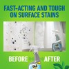 CLR Mold & Mildew Clear, Bleach-Free Stain Remover Spray Works