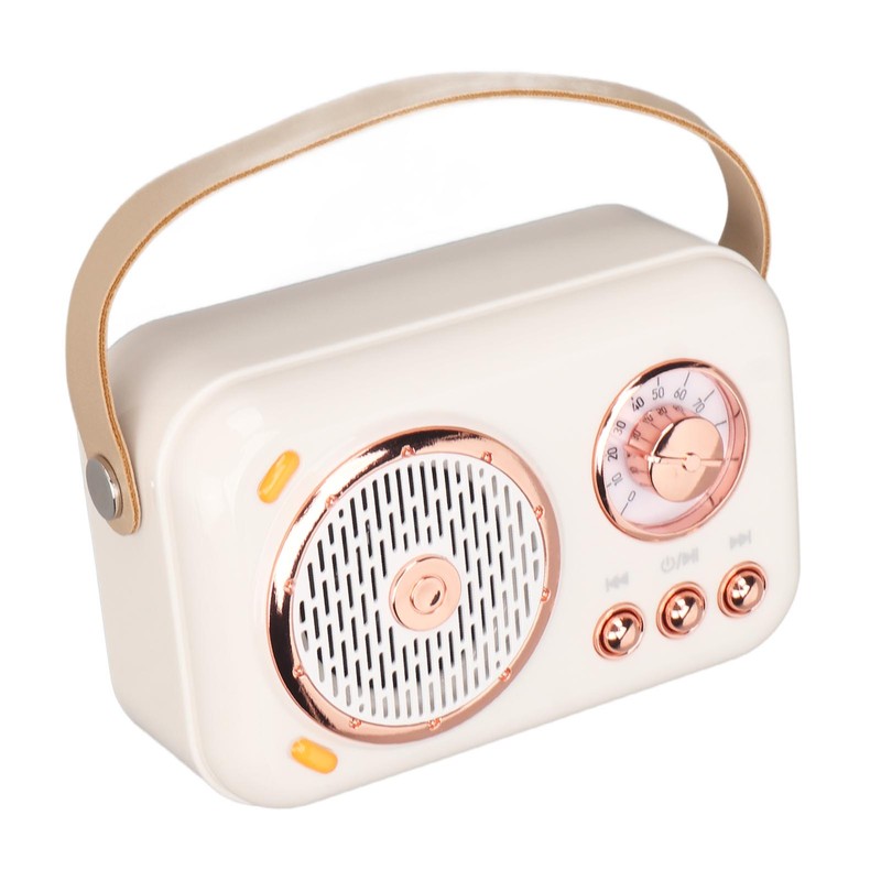 Karaoke Machine Multifunction Enhanced Bass 6 Modes Portable Bluetooth PA