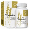 Fermented Wheat Germ Extract - 13 mg spermidine per Capsule