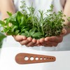 Gosknor Herb Stripper, Wood Vegetable Leaf Stripper with 8 Holes