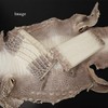 Berkut [Cowhide Embossed] Crocodile Belly Center-Taken Himalayan Style Long Wallet