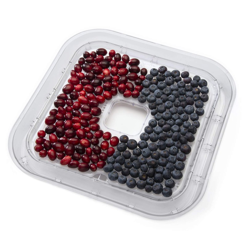 National Presto 06311 Nonstick Mesh Screens, 1 Size, Clear