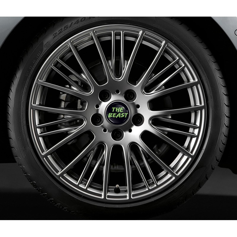 Skino 4 x 55 mm Car Sticker for Hub Caps