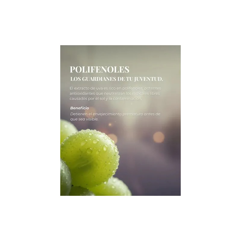 Crema De Noche Vinocosmética Reparación Y Nutrición 50 Ml Postquam
