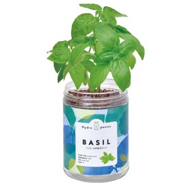 Seishin Ceramics Year-Round Home Gardening Easy Cultivation Kit Basil Herb Cultivation Set (For Free Research/Food Education) Pot Diameter Approx. 2.75 inches Green Pet Mother's Day Present Birthday
